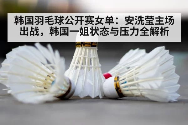 badminton shuttlecock court